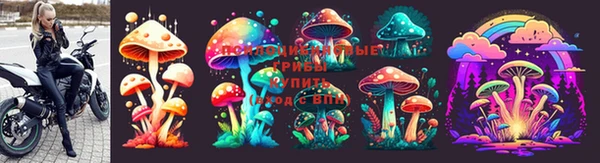 синтетический гашиш Каменка