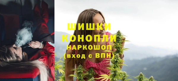 амф Каменногорск