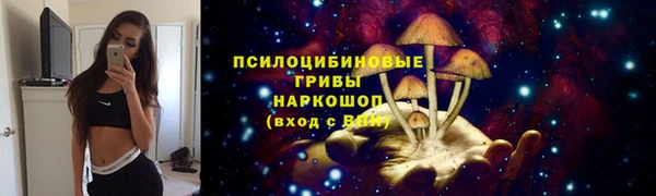 синтетический гашиш Каменка