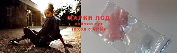 амф Каменногорск