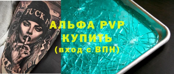амф Каменногорск