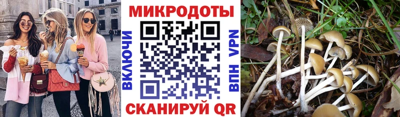 Псилоцибиновые грибы Psilocybine cubensis  Купить закладки  Киренск 