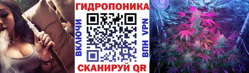Марихуана THC 21%  Купить закладки  Киренск 